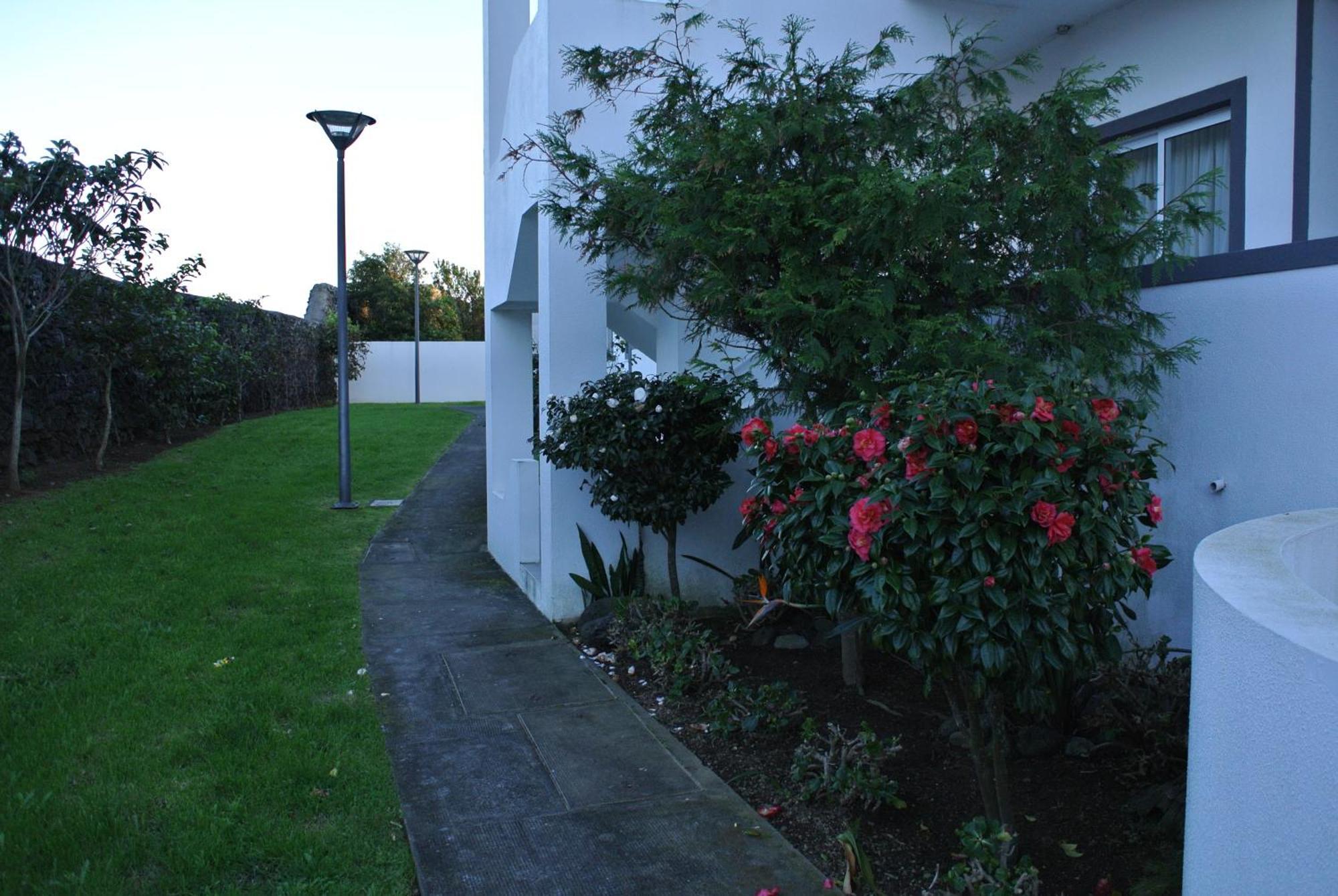Casa Simba , Where The Fun Begins Ponta Delgada  Exterior photo